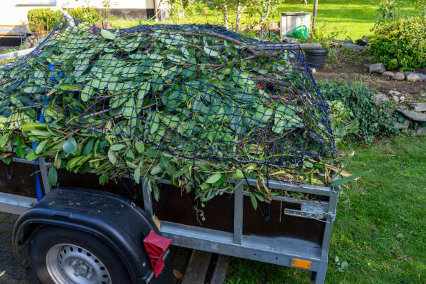 Best Residential Junk Removal  in Wade Hampton, SC